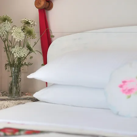 Cunda Morisi Ayvalı