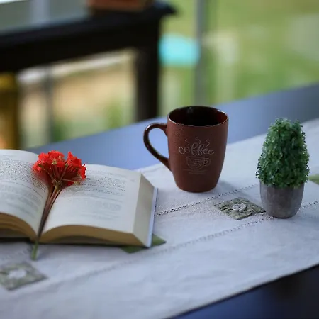 Cunda Morisi Ayvalı